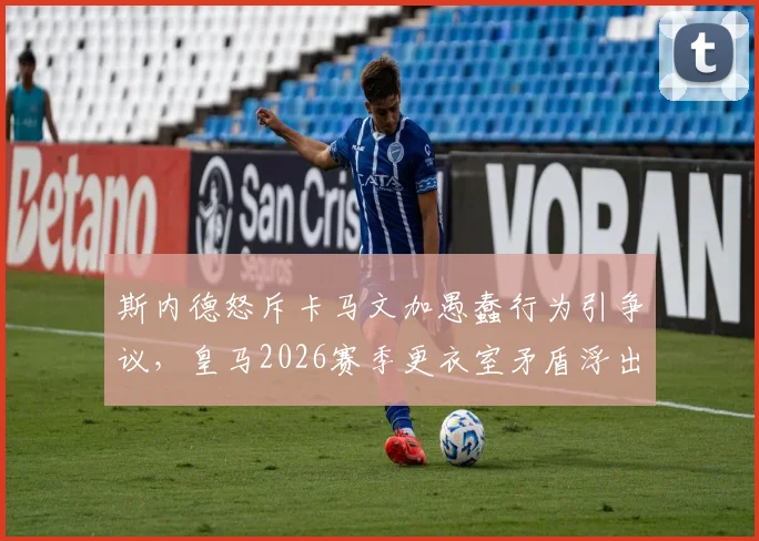 斯内德怒斥卡马文加愚蠢行为引争议，皇马2026赛季更衣室矛盾浮出水面