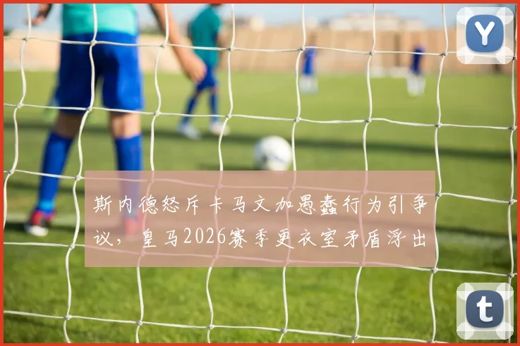 斯内德怒斥卡马文加愚蠢行为引争议，皇马2026赛季更衣室矛盾浮出水面