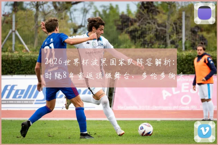 2026世界杯波黑国家队阵容解析：时隔8年重返顶级舞台，多伦多街头球迷高歌引爆期待